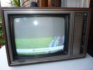 TV viejita